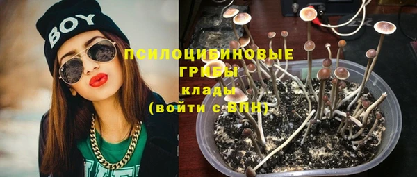 apvp Аркадак