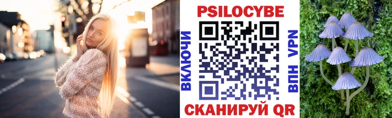 блэк спрут ссылка Фокино Галлюциногенные грибы прущие грибы